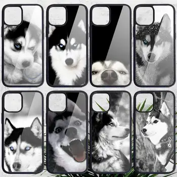 Animale Husky Puppy Dog Cazul în care Telefonul PC Pentru iphone 14 11 13 12 x xs xr pro max mini plus de Lux shell funda