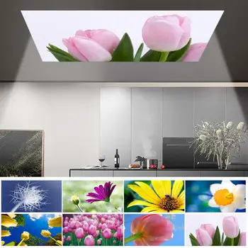 Lampă Decorativă Acoperi Ignifuge Magnetic Elegant Design Peisagistic De Relaxare Interioară Abajur
