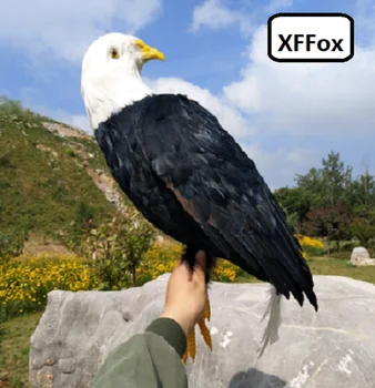 mare viața reală transformat pasăre vultur model spuma&pene de simulare pasăre neagră cadou despre 50x30cm xf0820