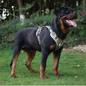 Noul 1,5 m Câine Lesa Explozie-dovada Impact Mâner din nou Piept Mare Câine Lesa Reflectorizanta de Companie Curea de Piept de Siguranță Costum